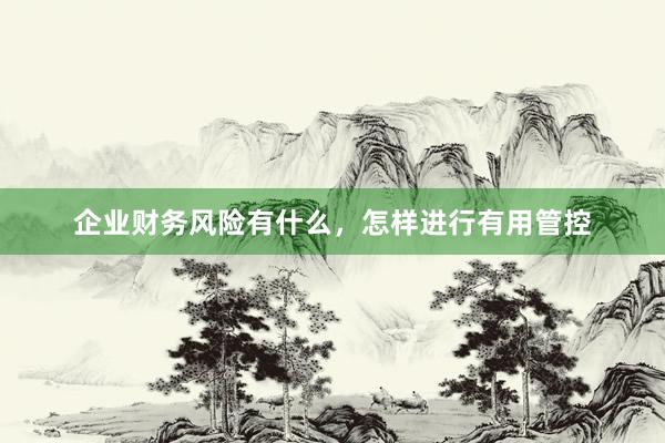 企业财务风险有什么，怎样进行有用管控