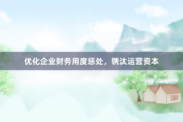 优化企业财务用度惩处，镌汰运营资本