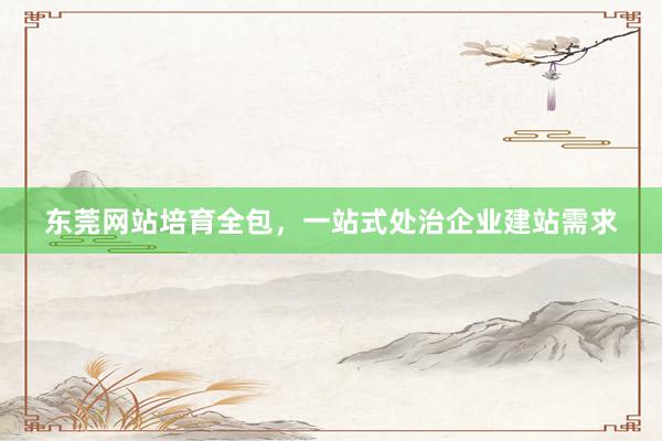 东莞网站培育全包，一站式处治企业建站需求