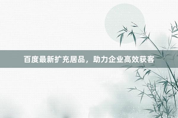 百度最新扩充居品，助力企业高效获客