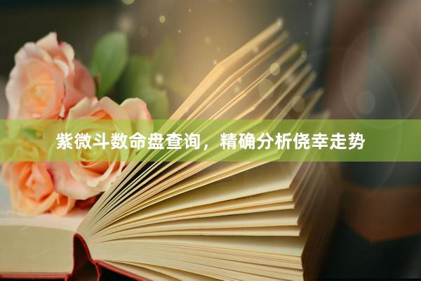 紫微斗数命盘查询，精确分析侥幸走势