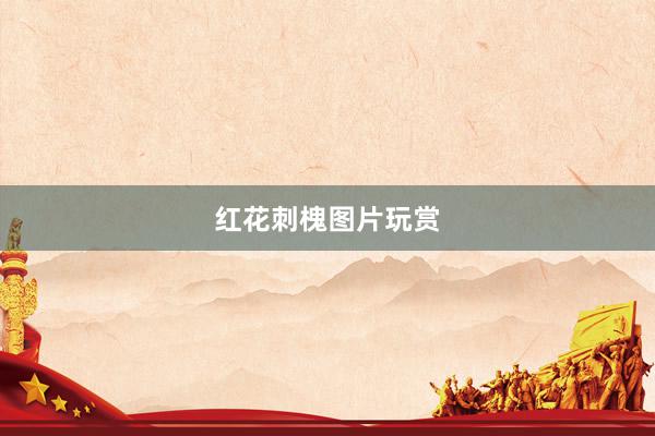 红花刺槐图片玩赏